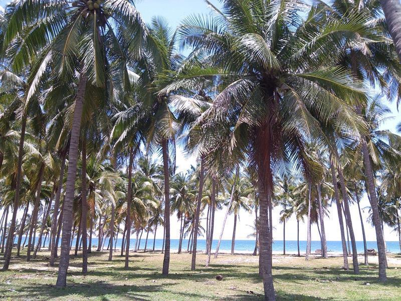Hoang Nga Garden Guesthouse Mui Ne Exterior photo